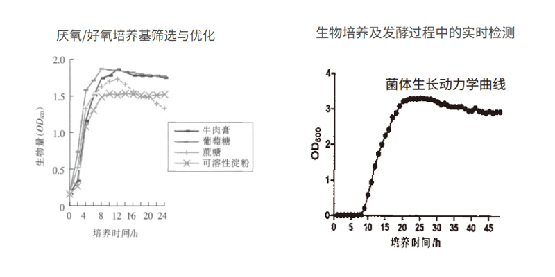 過程安全，結(jié)果精準(zhǔn)