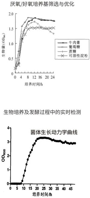 過程安全，結(jié)果精準
